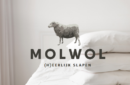 Trividend Provincie Antwerpen - Molwol