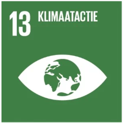 sdg13