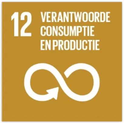 sdg12