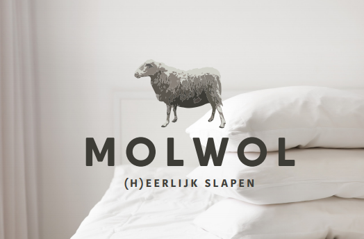 MOLWOL_front