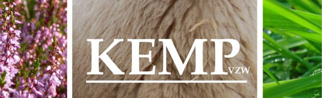 Logo_kempVZW-1